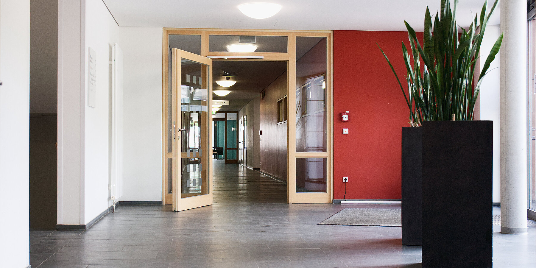 Blick in einen Klinikflur, im Vordergrund rechts eine große Pflanze, dahinter eine rote Wand, offene Glastür und Oberlichter.